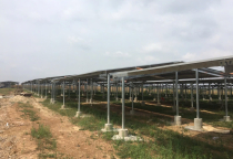  Dự Án  nông nghiệp tại Cao Lãnh - Đồng Tháp