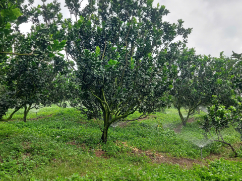 Công suất Dùng Cho nông nghiệp