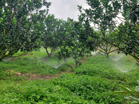 Công suất Dùng Cho nông nghiệp