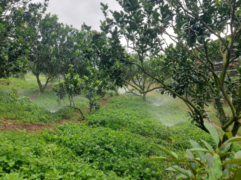 Công suất Dùng Cho nông nghiệp