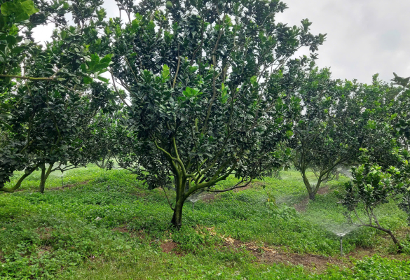 Công suất Dùng Cho nông nghiệp